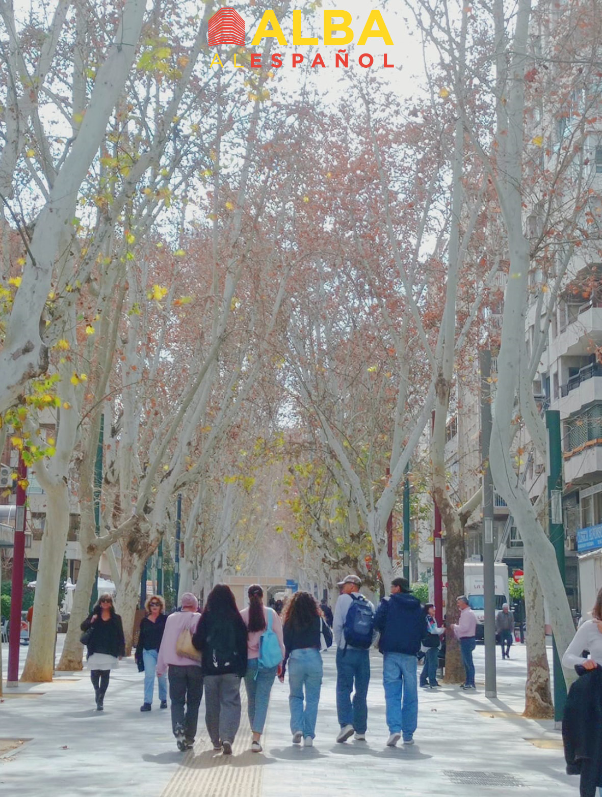 fotos act extraescolares murcia VERT 200 x 2658